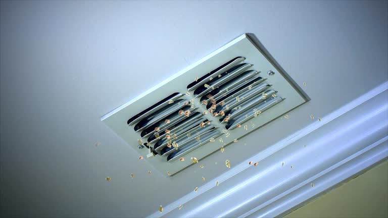 Best Air Duct Inspection  in El Dorado, AR