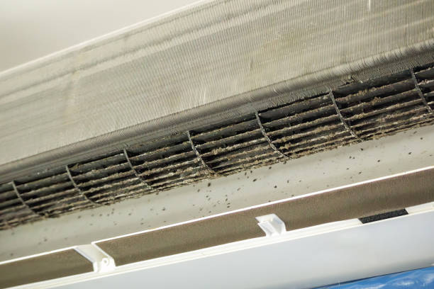 Best Affordable Duct Cleaning Services  in El Dorado, AR